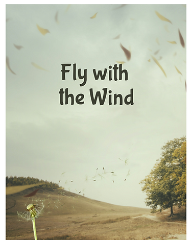 Fly with the wind