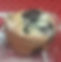 Blueberry Muffin