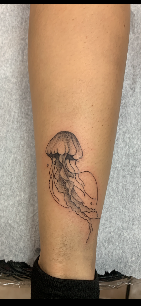 fine line jellyfish walk-in tattoo at Angeltattoo Tampa