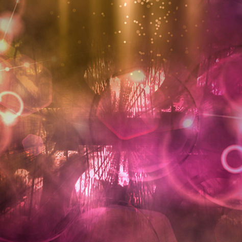 The secret life of an entertainer