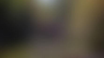 Dos monos franceses.