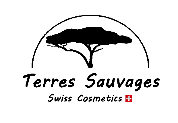 Logo_GIF.gif