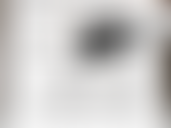 Conheça o nosso Perfil Sanca | Rodateto