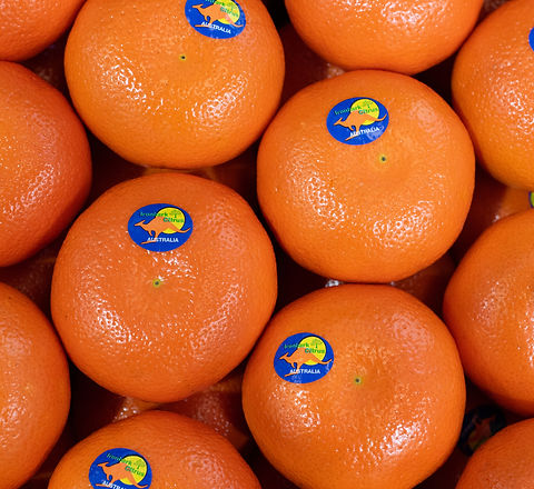 Packed carton of Royal Honey Murcott, RHM, mandarins