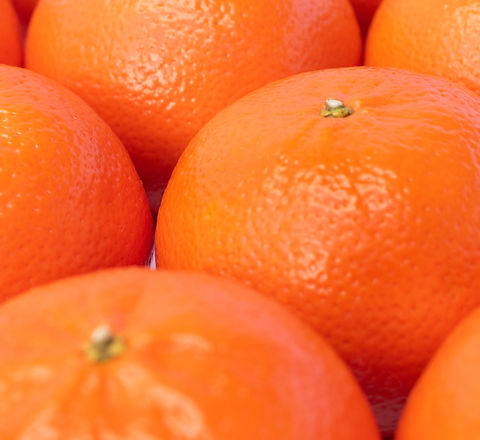 Royal Honey Murcott, RHM, mandarin buttons
