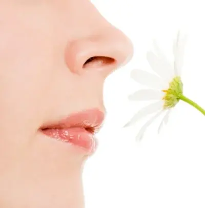 Best Doctor for Smelling Problem Treatment in Mumbai