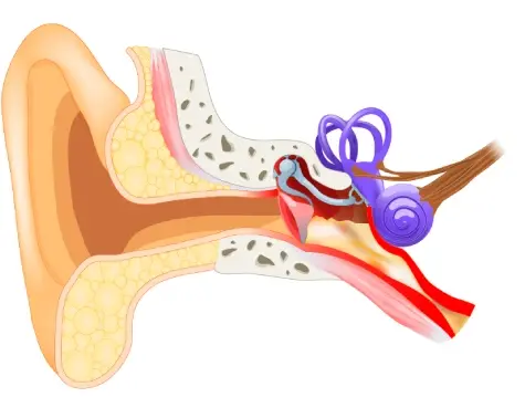A Journalist’s Visit to Kokilaben Dhirubhai Ambani Hospital: Understanding Otitis Media Treatment in Mumbai