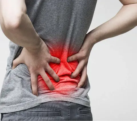 Understanding Pain in Lower Back in Females — Synapse Spine Report