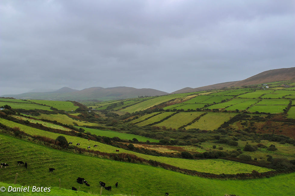 Dingle Peninsula, Ring of Kerry, Ireland