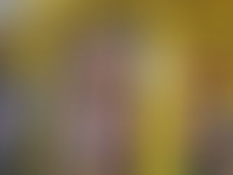 Loja 272 - Garimpando