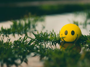 THE F-WORD; Why You Want More & not Less of It