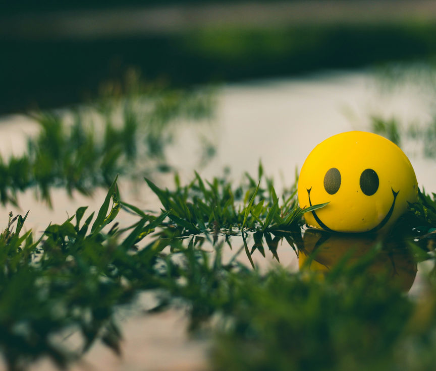 THE F-WORD; Why You Want More & not Less of It