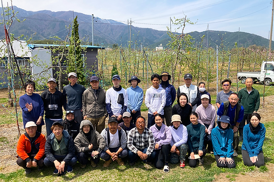 最高金賞】私たちの無袋ふじが「最高金賞」を受賞しました！