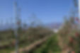 DBDDFA2F-70D1-4B25-A3BE-13E631FE7104.jpeg