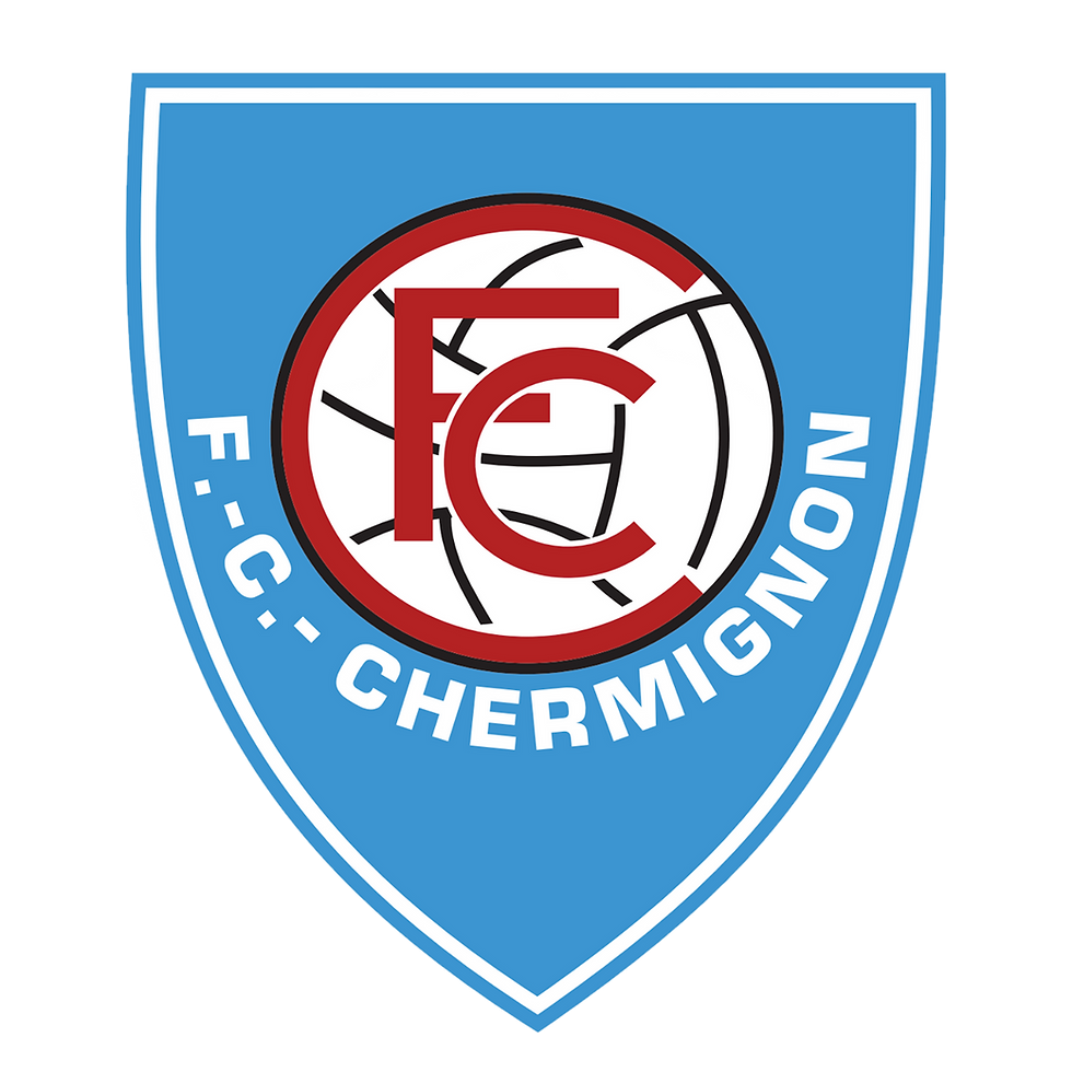 LausanneCityFC_logo.png