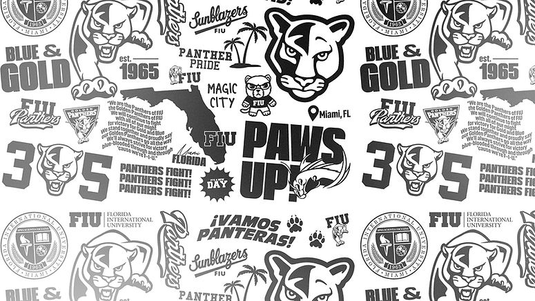 Panther Branding Collage.jpg