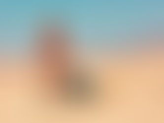 Heart Rate Variability - The everyday performance metric