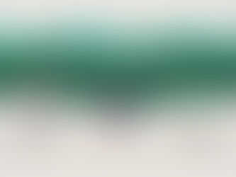 Climate Positive Workforce