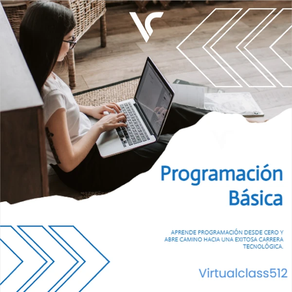 Programación Básica