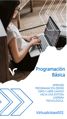 Diplomado virtual de programación básica