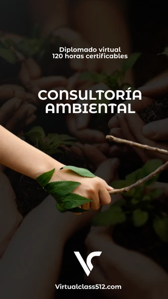 CONSULTORÍA AMBIENTAL