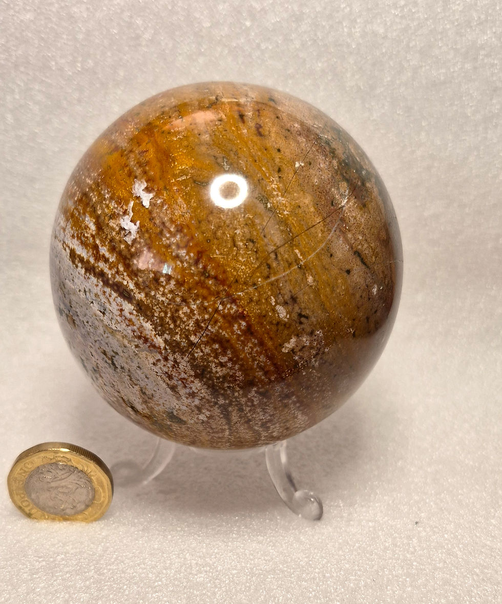 Thumbnail: Brown/white Ocean Jasper (Madagascar)