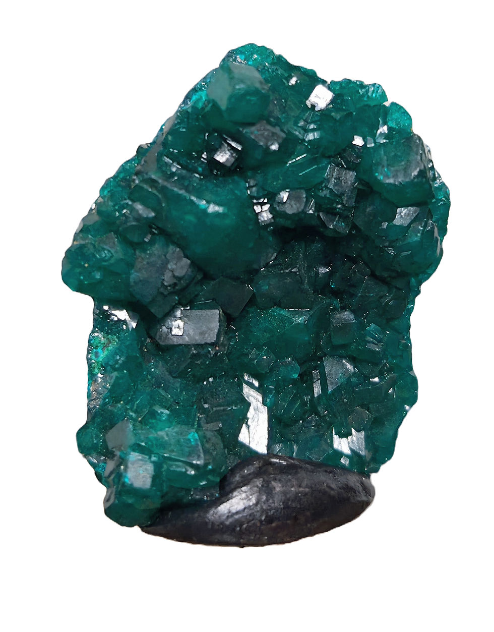 Thumbnail: Dioptase, Altyn-Tyube, Kazakhstan
