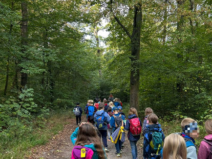 Gemeinsam unterwegs im Wald