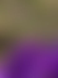 Dem Frühling auf der Spur