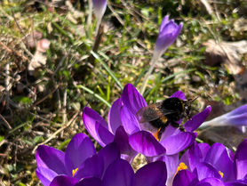 Dem Frühling auf der Spur