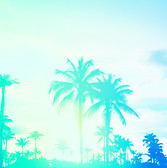 shutterstock_791183218 copy_blue-green.jpg