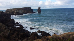 Ilha da Papoa_papoa