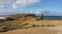 Ilha da Papoa_papoa
