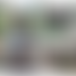 Benefits of Exercise on Work Performance