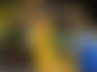 Marcale Lotts Signs in Portugal