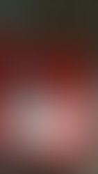 2015 Vegas Scouting Completed