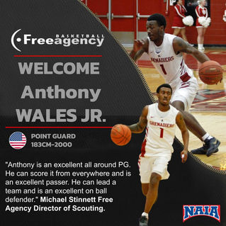 PG Anthony Wales JR. Signs with Free Agency Basketball