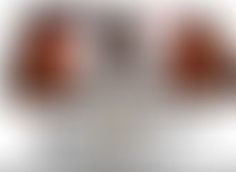 Ge-Lawn Guyn Signs in Germany