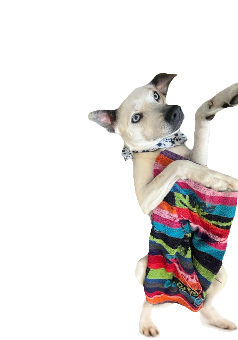 unnamed (7)_edited (1).png