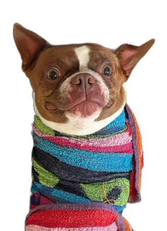 unnamed (14)_edited.png