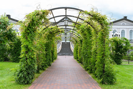 alley-with-arches-for-decorative-climbing-vines-in-2023-11-27-05-08-56-utc.jpg