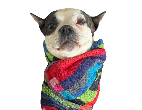 unnamed (12)_edited (1).png