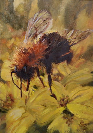 Striking Gold 5x7 oil on linen.jpeg
