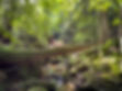 Brunette lady naked in nature posing on a fallen tree covered in green moss inside a rainforest