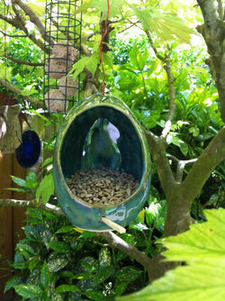Sarah Park bird feeder 02
