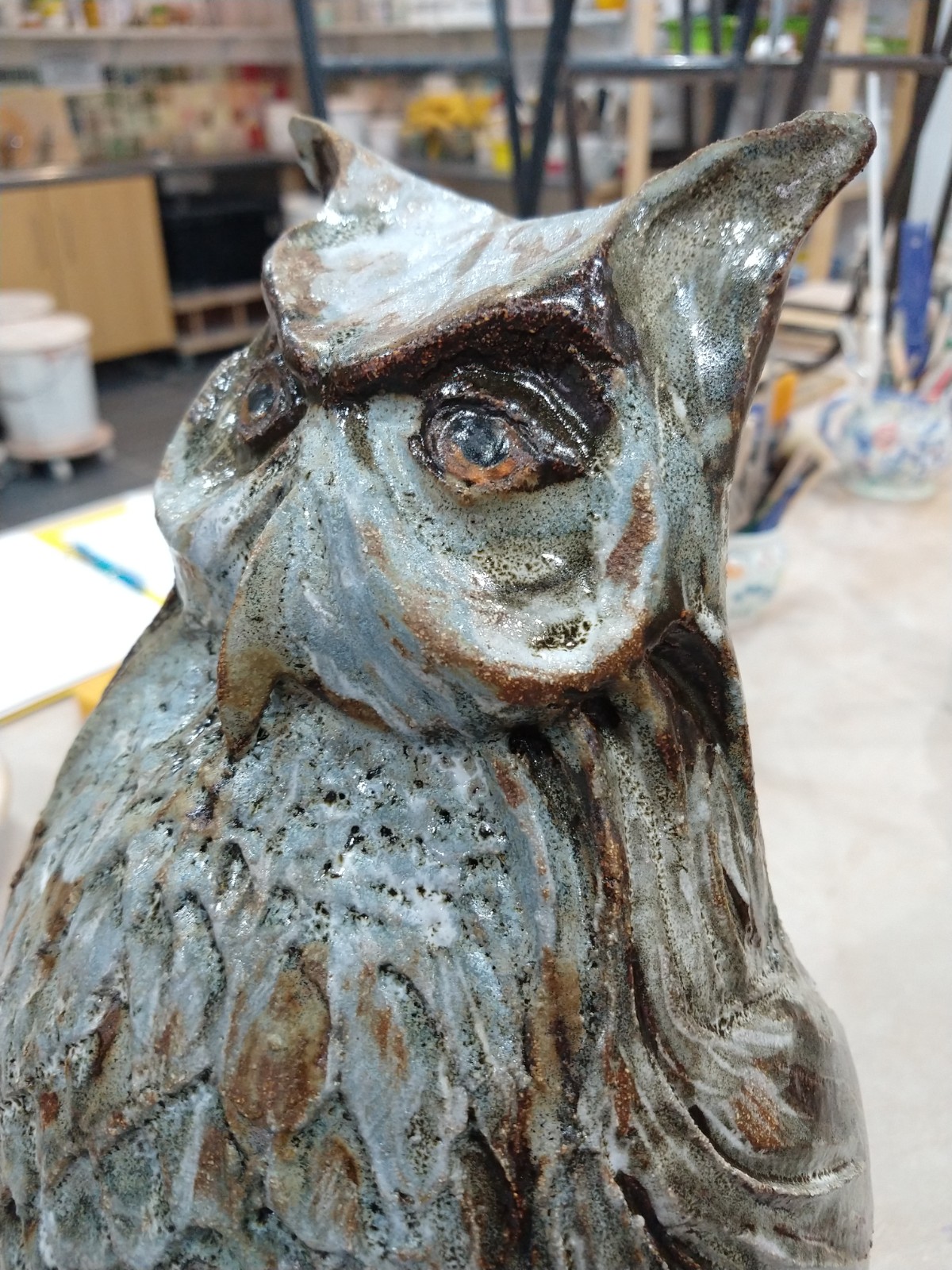 Close up of glazed owl