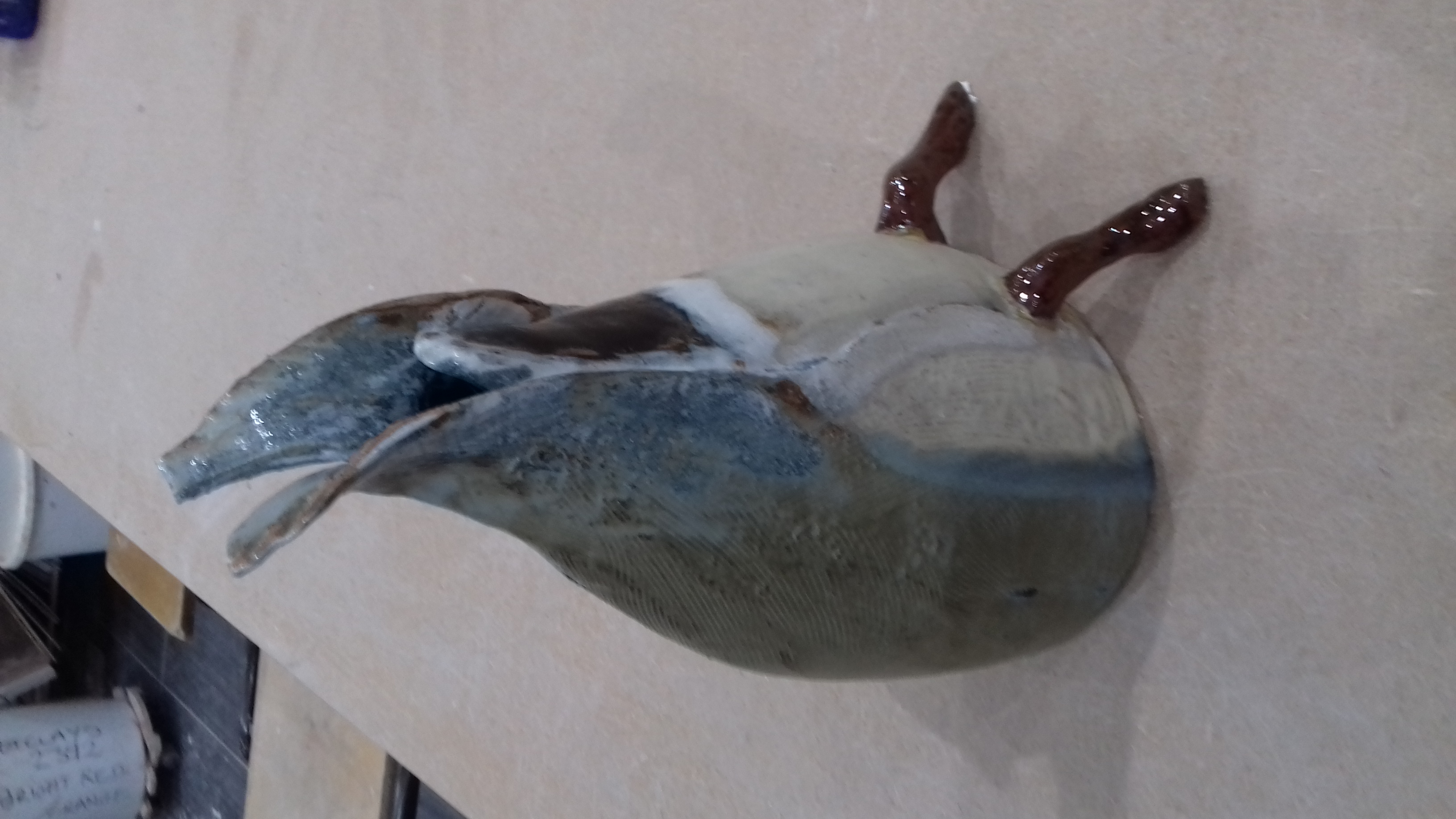 Duck