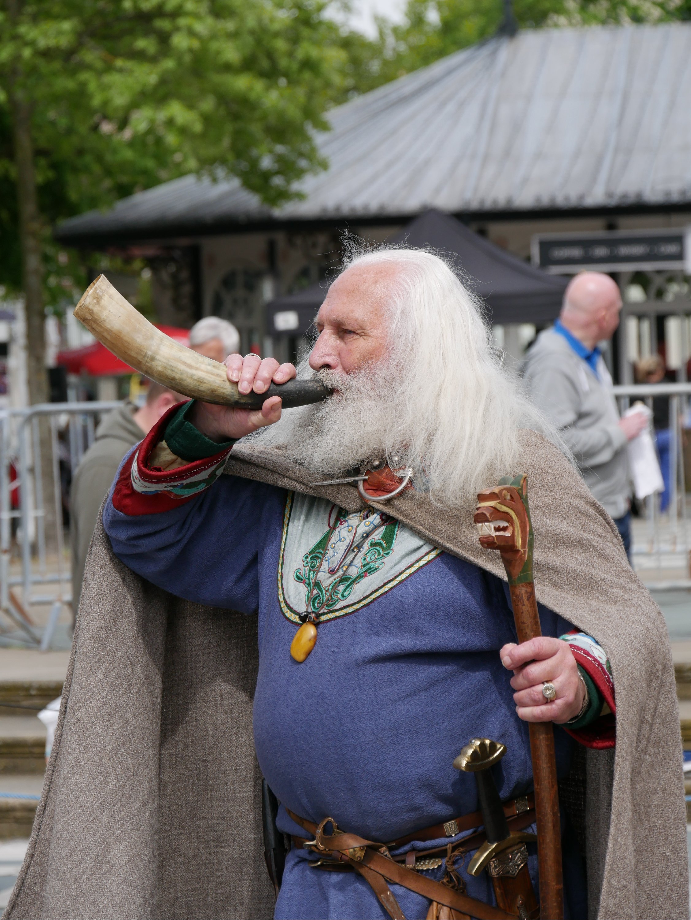 Vikings
