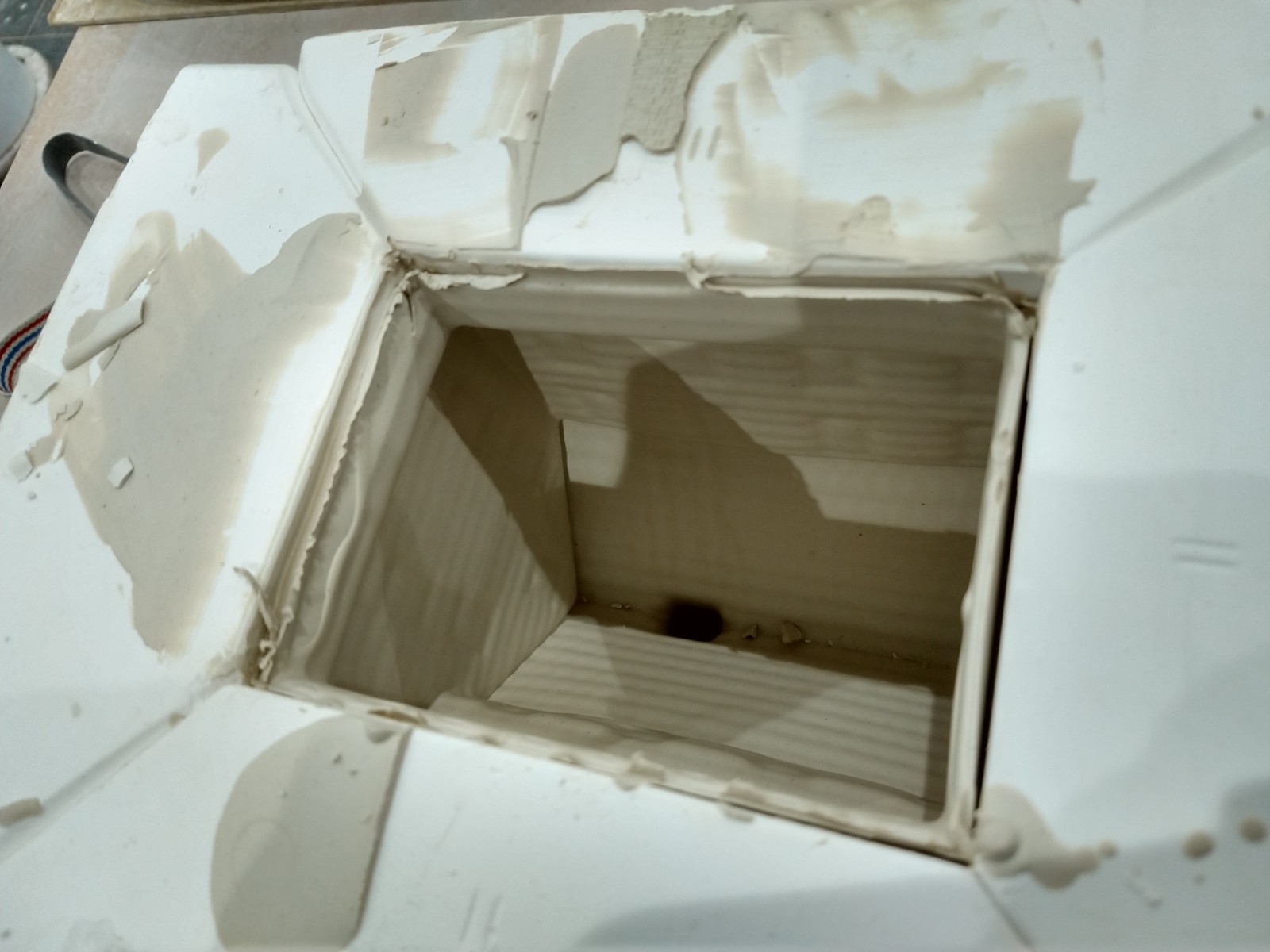 Cottage in mould 02