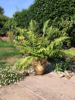 Claire Keppie in the garden 02